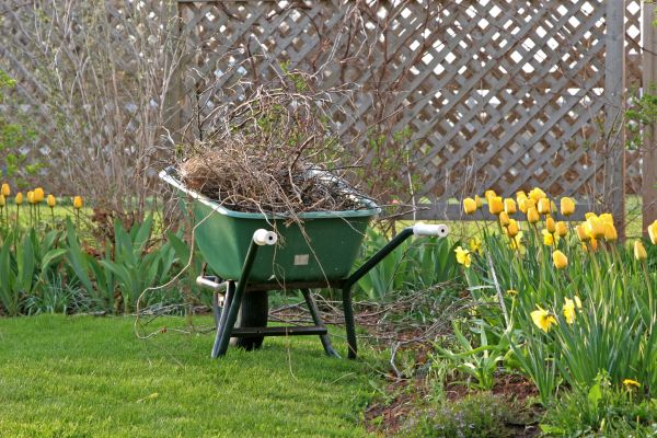 Flower Bed Cleanup Service in Modesto
