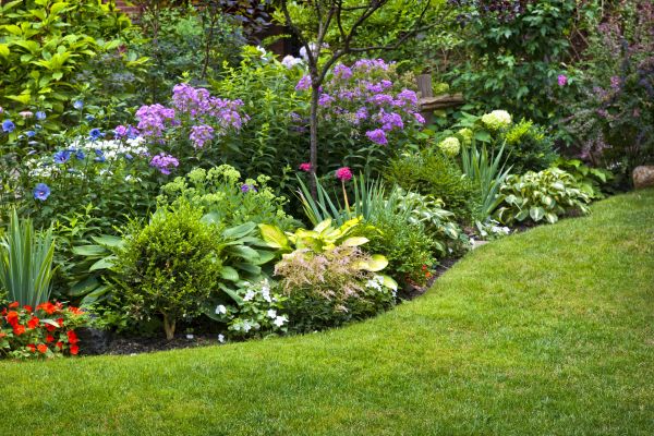 Flower Bed Service in Modesto