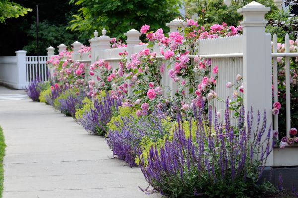Garden Handyman Service in Modesto