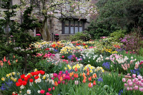 Garden Maintenance Service in Modesto