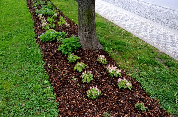 Mulch Replacement Service in Modesto