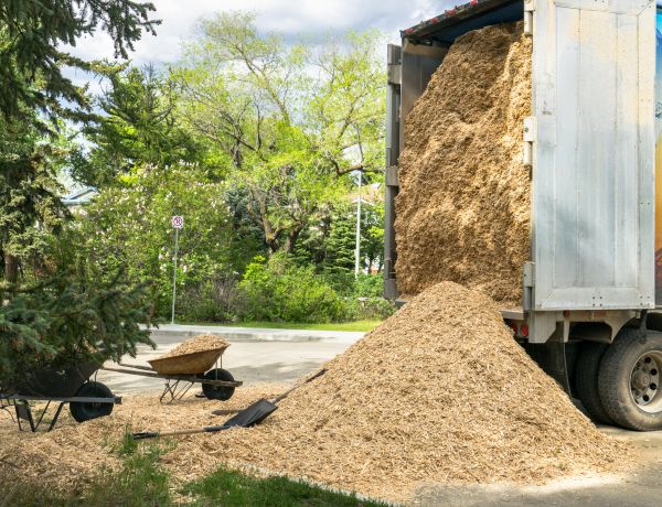 Wood Chips Delivery in Modesto