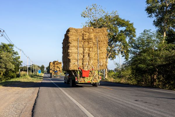 Pine Straw Delivery in Modesto