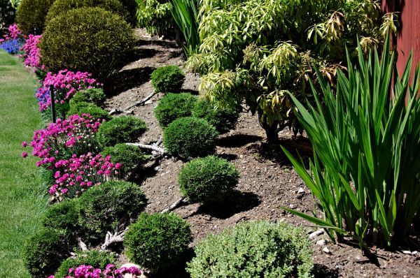Residential Gardening in Modesto