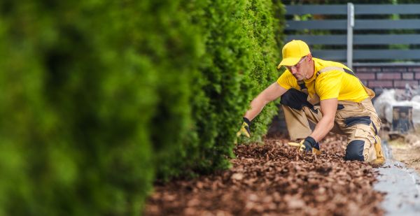 Cypress Mulch Installation in Modesto