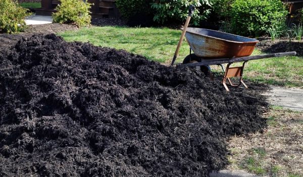 Black Mulch Installation in Modesto