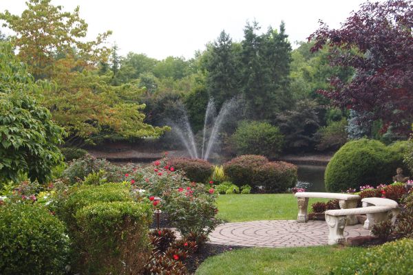 Courtyard Design Service in Modesto