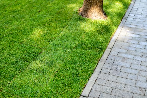 Border Stone Installation in Modesto