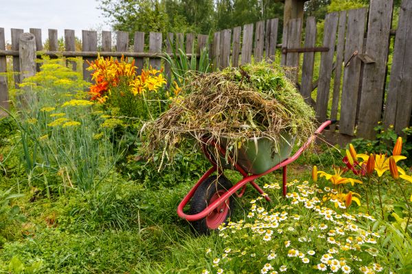 Garden Cleanup Service in Modesto