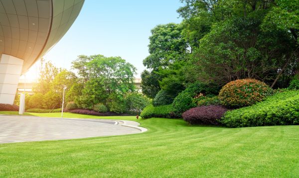Business Landscape Design in Modesto