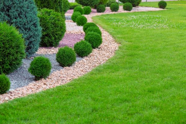 Edging Stones Installation in Modesto