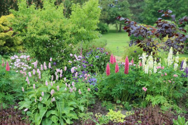 Flower Bed Planting in Modesto