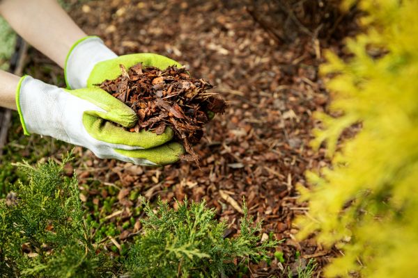 Garden Mulch Delivery in Modesto