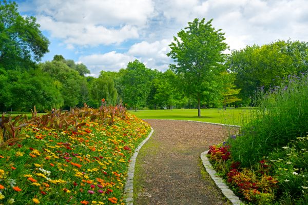 Park Landscaping in Modesto