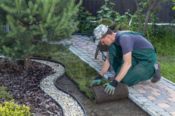 Landscaping Modification in Modesto
