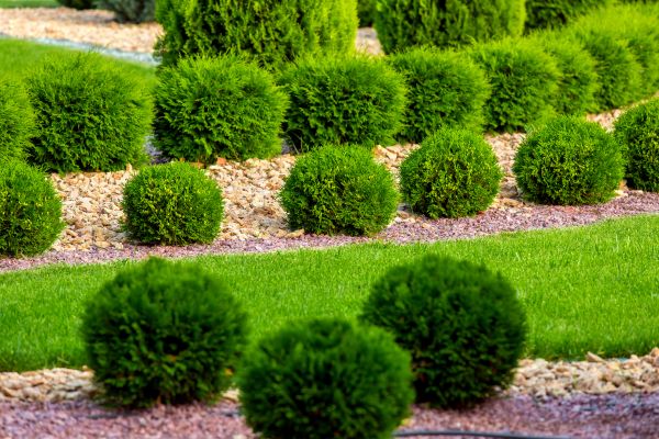 Bush Installation in Modesto
