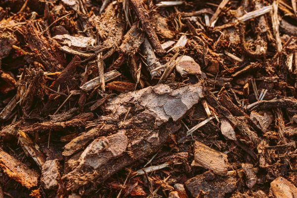 Bark Mulch Delivery in Modesto
