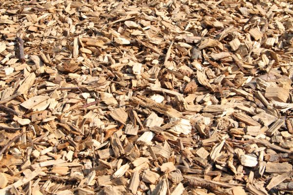 Wood Mulch Delivery in Modesto