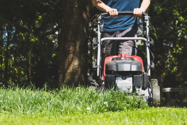 Garden Trimming Service in Modesto
