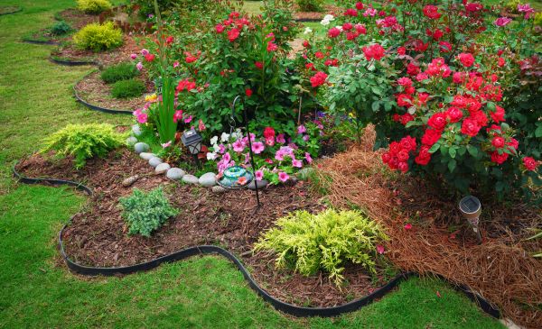 Floral Landscaping in Modesto