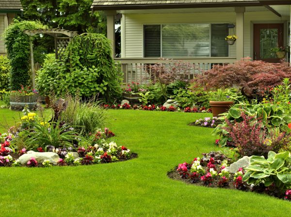 Flower Garden Planting in Modesto
