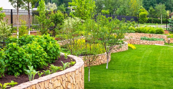 Yard Makeover Service in Modesto