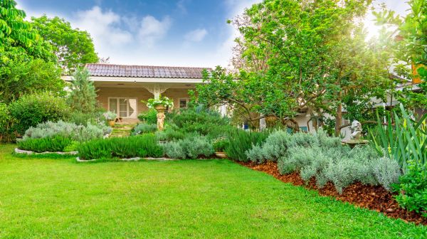 Greenery Planting in Modesto