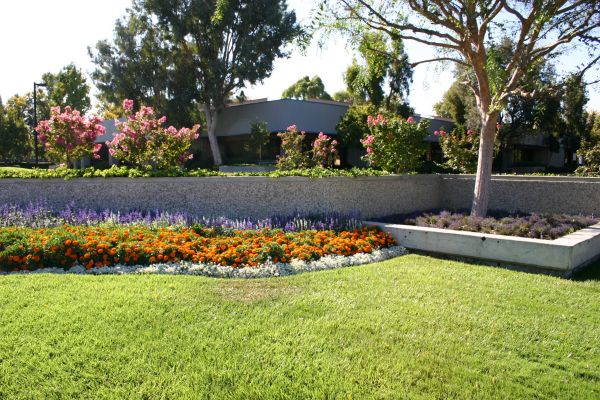 Commercial Landscape Service in Modesto