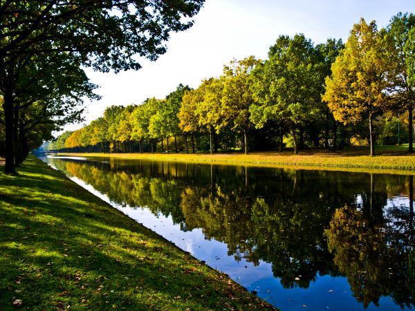 Bank Landscaping in Modesto