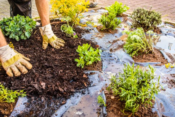 Mulch Fabric Installation in Modesto