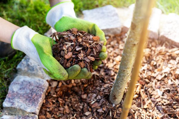 Tree Bark Delivery in Modesto