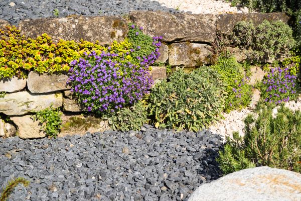 Landscaping Rocks Installation in Modesto