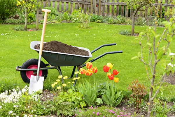 Spring Yard Renovation in Modesto