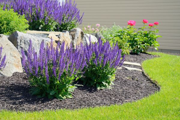 Landscape Planting Service in Modesto