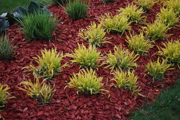 Red Mulch Installation in Modesto
