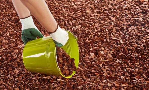 Wood Chip Landscaping in Modesto