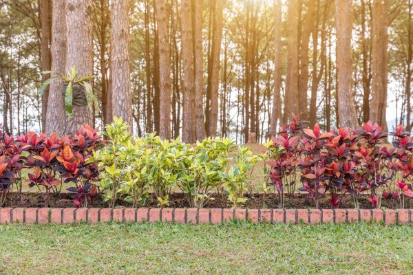 Small Garden Landscaping in Modesto