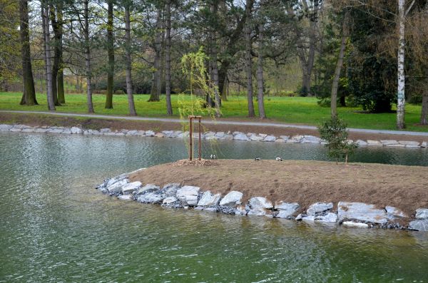 Pond Landscaping Service in Modesto