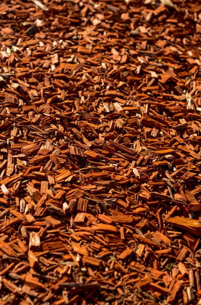 Cedar Mulch Spreading in Modesto