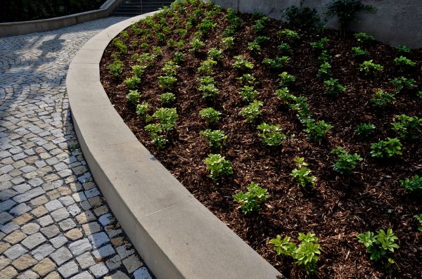 Commercial Mulching in Modesto