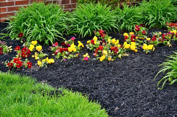 Apartment Mulching in Modesto