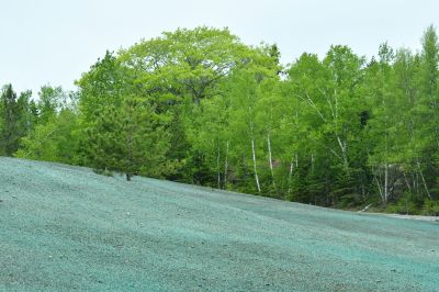 Slope Landscaping