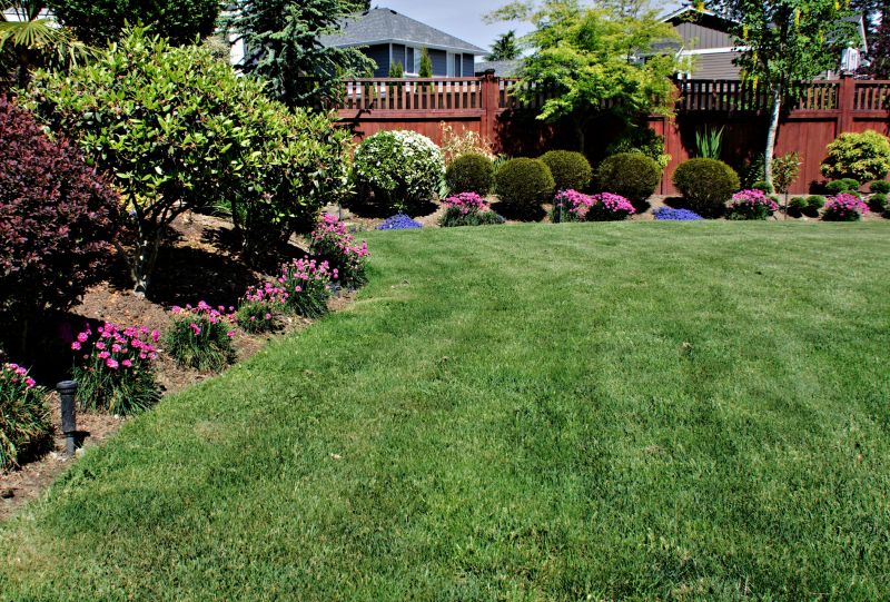 Xeriscape Landscaping